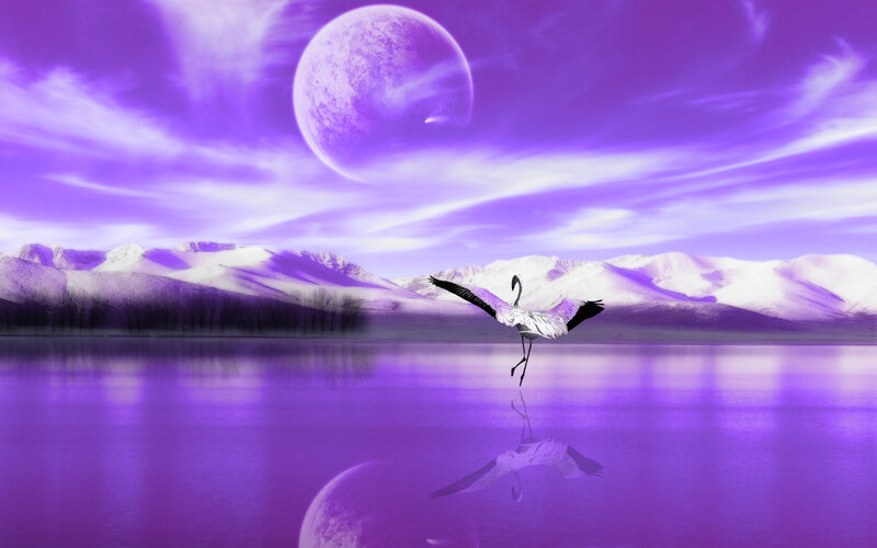 Flamingo Flying over Lake — Purple