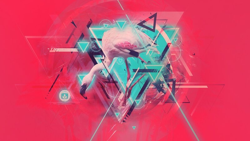 Flamingo in Geometric Design