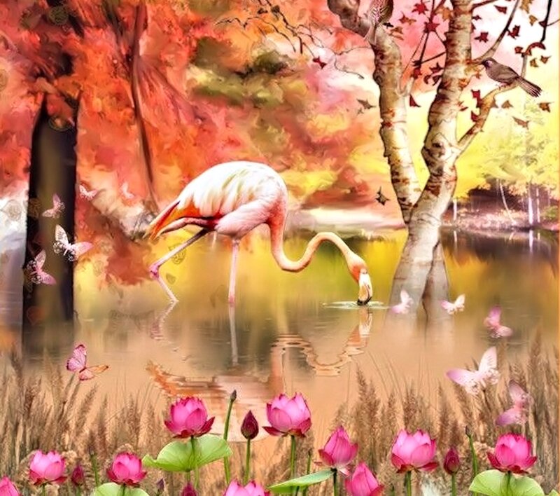 Flamingo in Pond