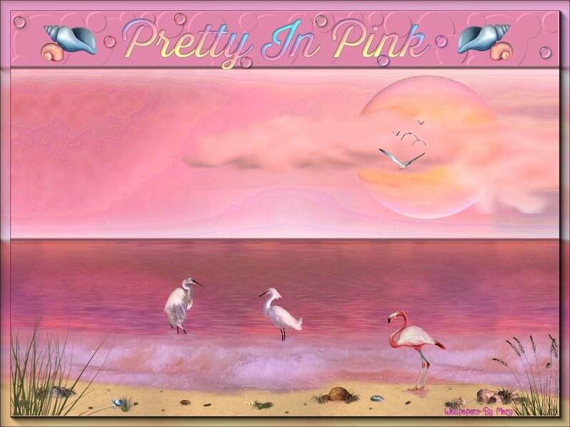 Flamingo on Beach — Pink, Serene