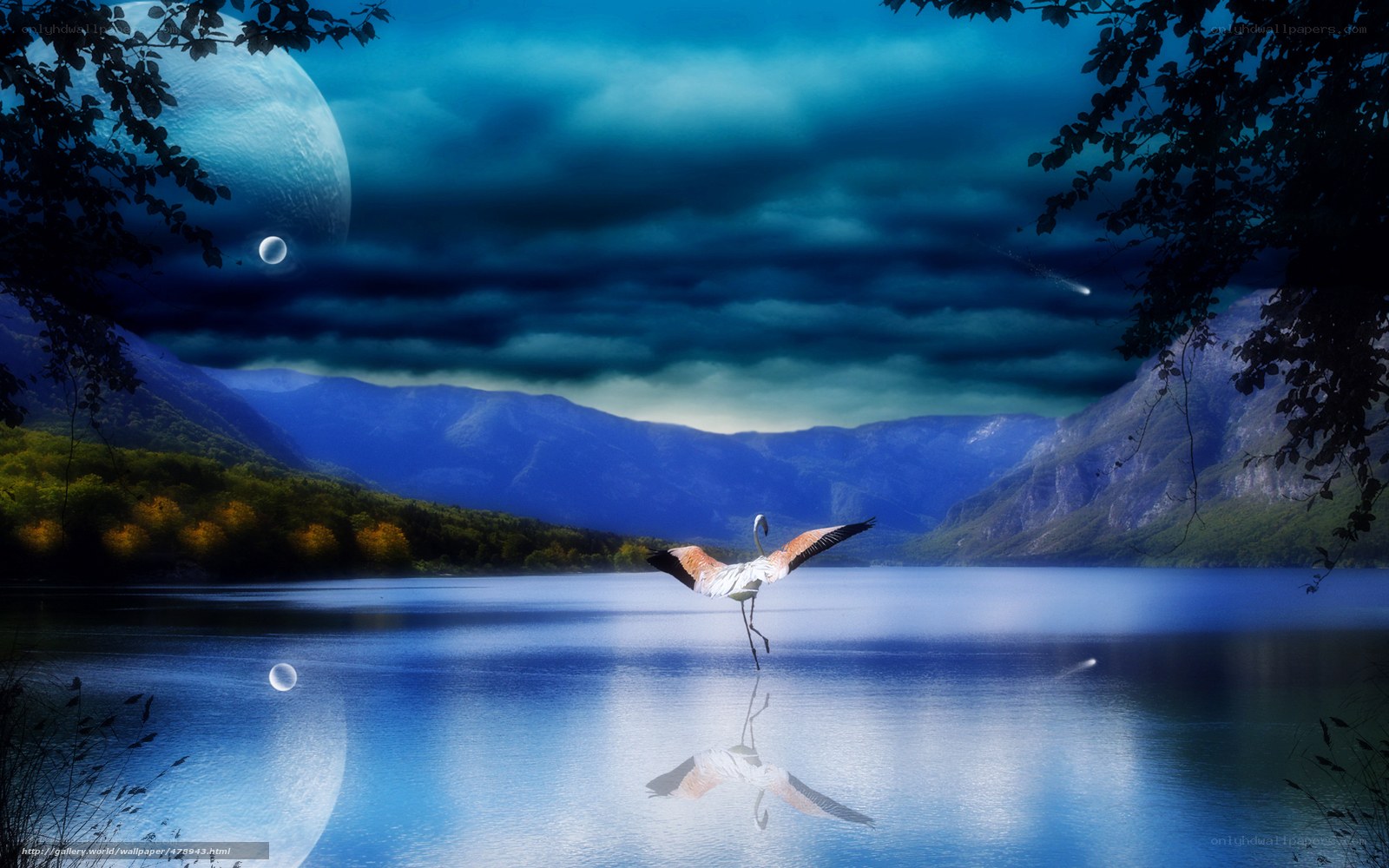 Flamingo over a lake at night
