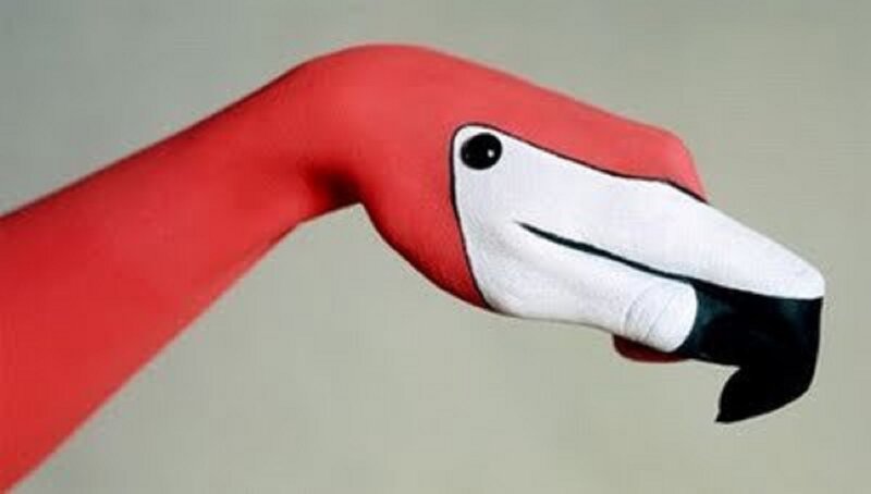 Flamingo Painted on Hand
