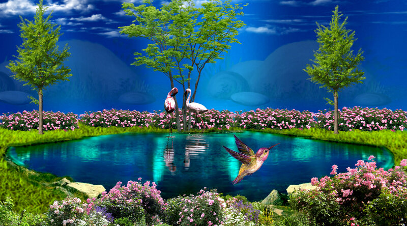 Flamingos and Hummingbird