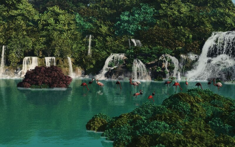 Flamingos in a Lagoon