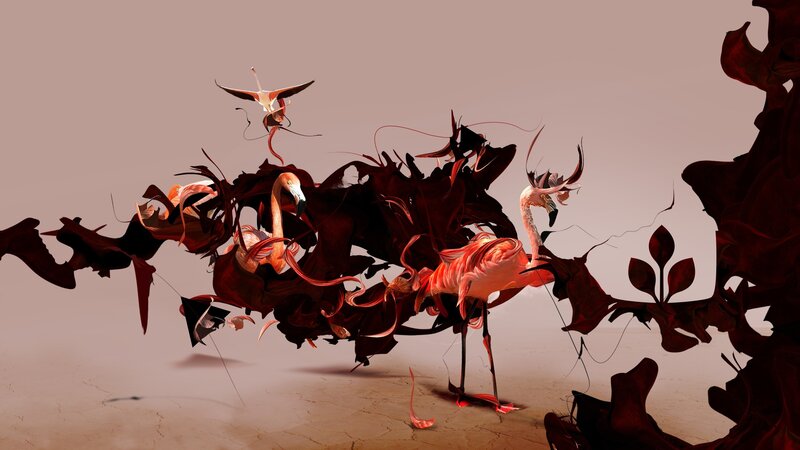 Flamingos in Abstract Form