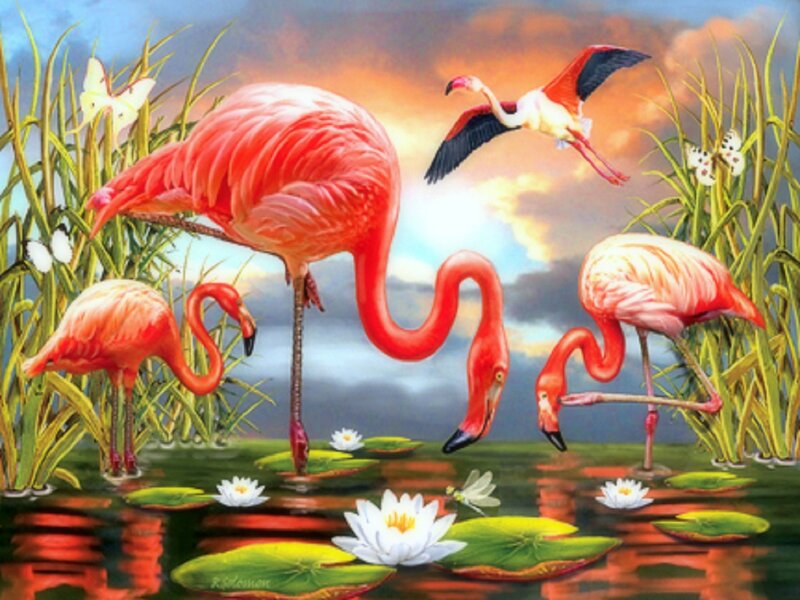Flamingos in Pond — Pink, Serene, Sunset