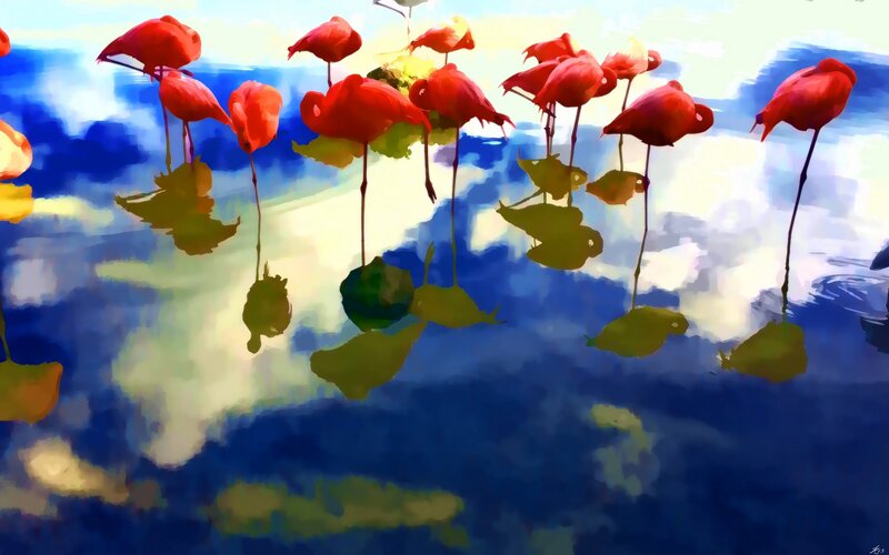 Flamingos in Water — Red, Serene