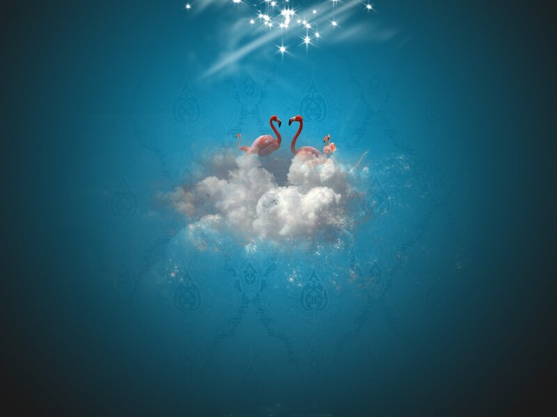 Flamingos on a cloud