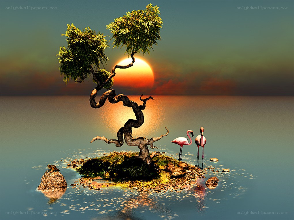 Flamingos on a small island
