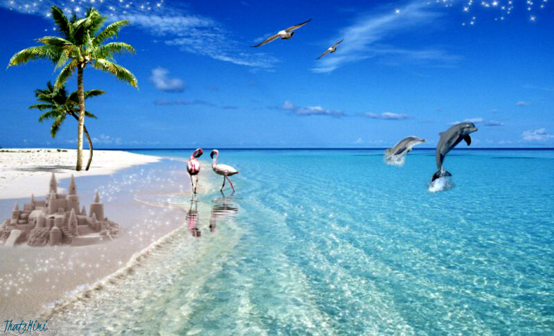 Flamingos on Beach