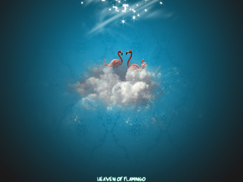 Flamingos on Cloud