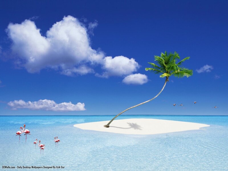 Flamingos on Tropical Island