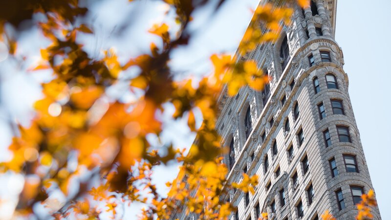 Flatiron Building — Yellow, Serene