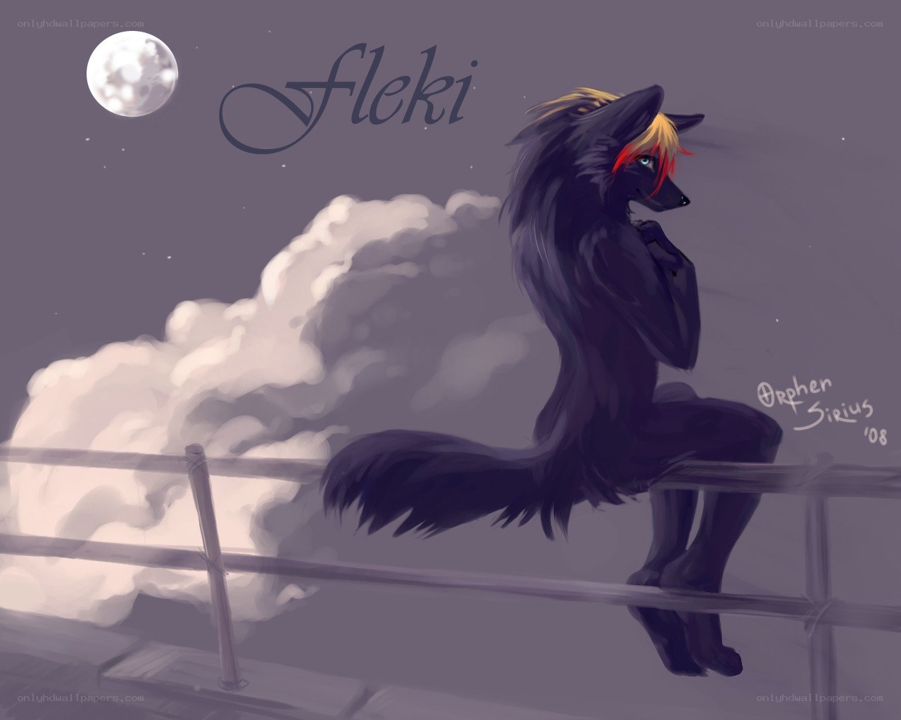 Fleki under the moon