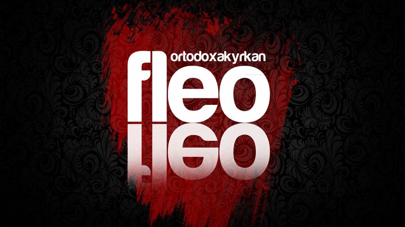 Fleo logo with red splash
