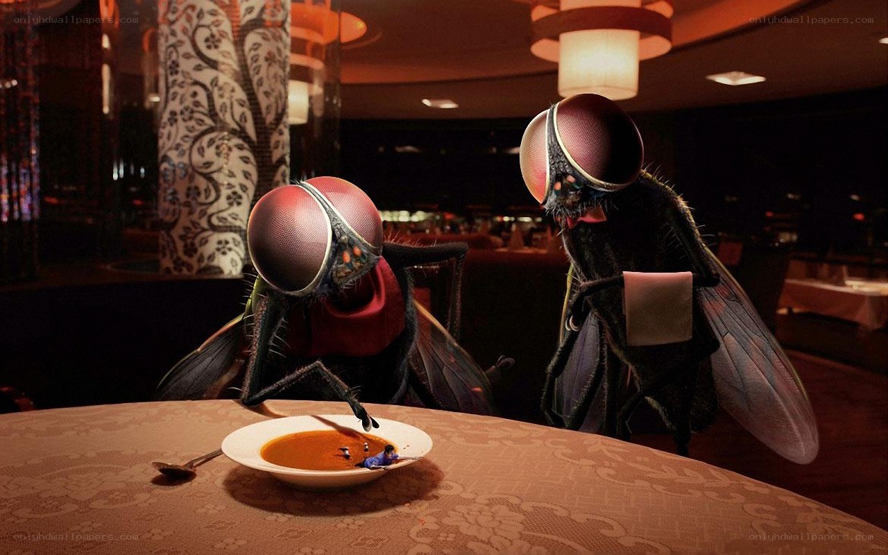 flies at a fancy restaurant