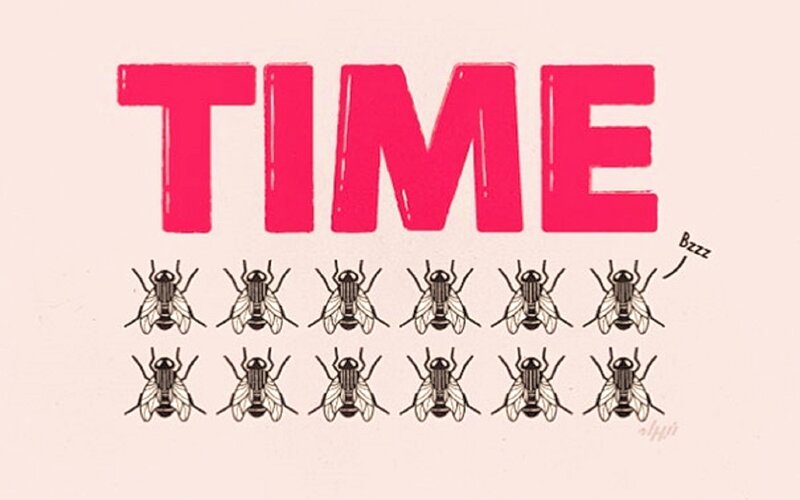 Flies under the Word TIME