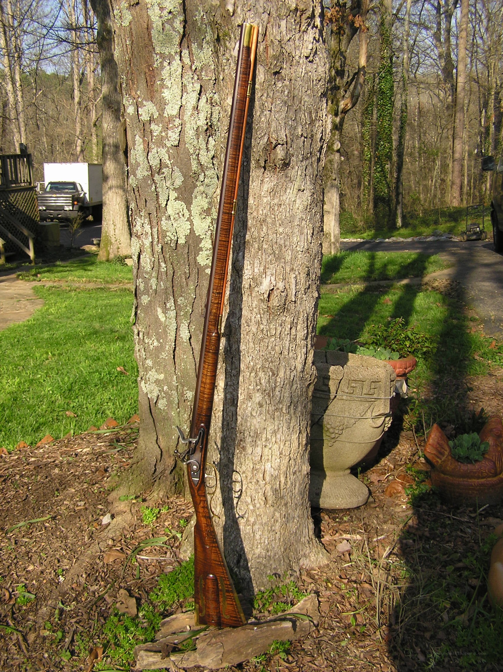 flintlock rifle leaning on tree