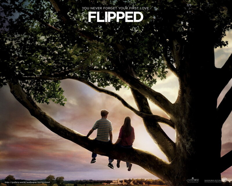 Flipped movie poster