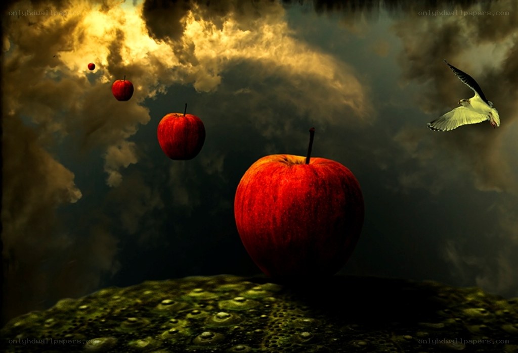 Floating apples and a bird