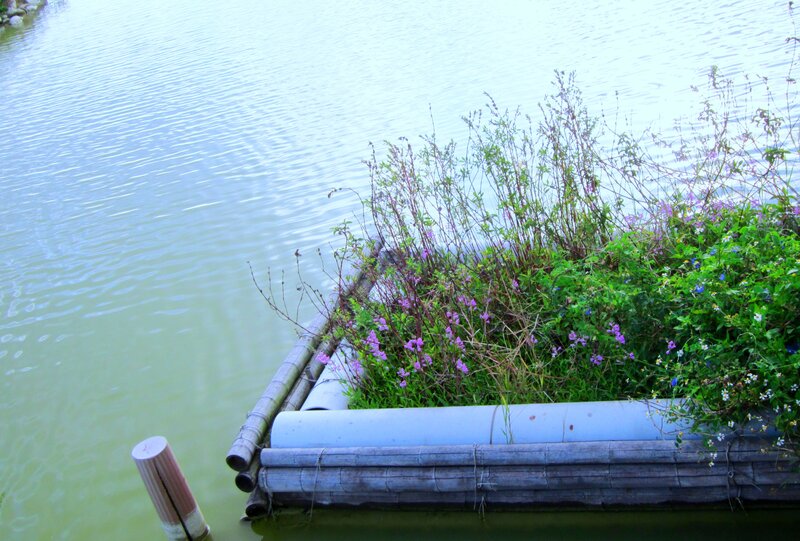 Floating Bamboo Raft