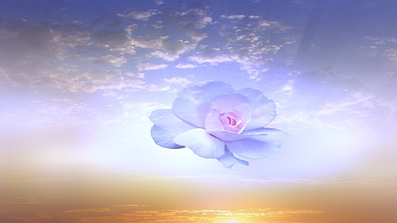 floating blue rose in sky