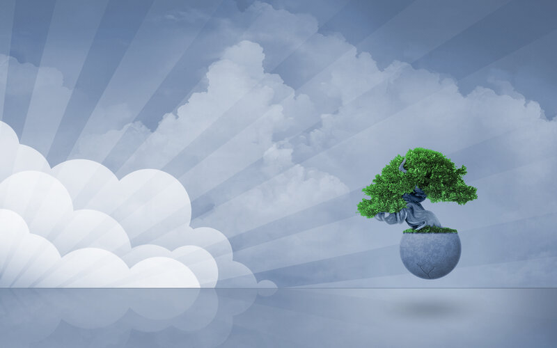 floating bonsai tree