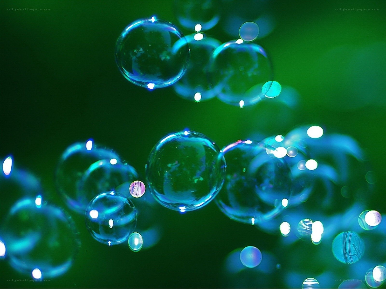 Floating bubbles in green light