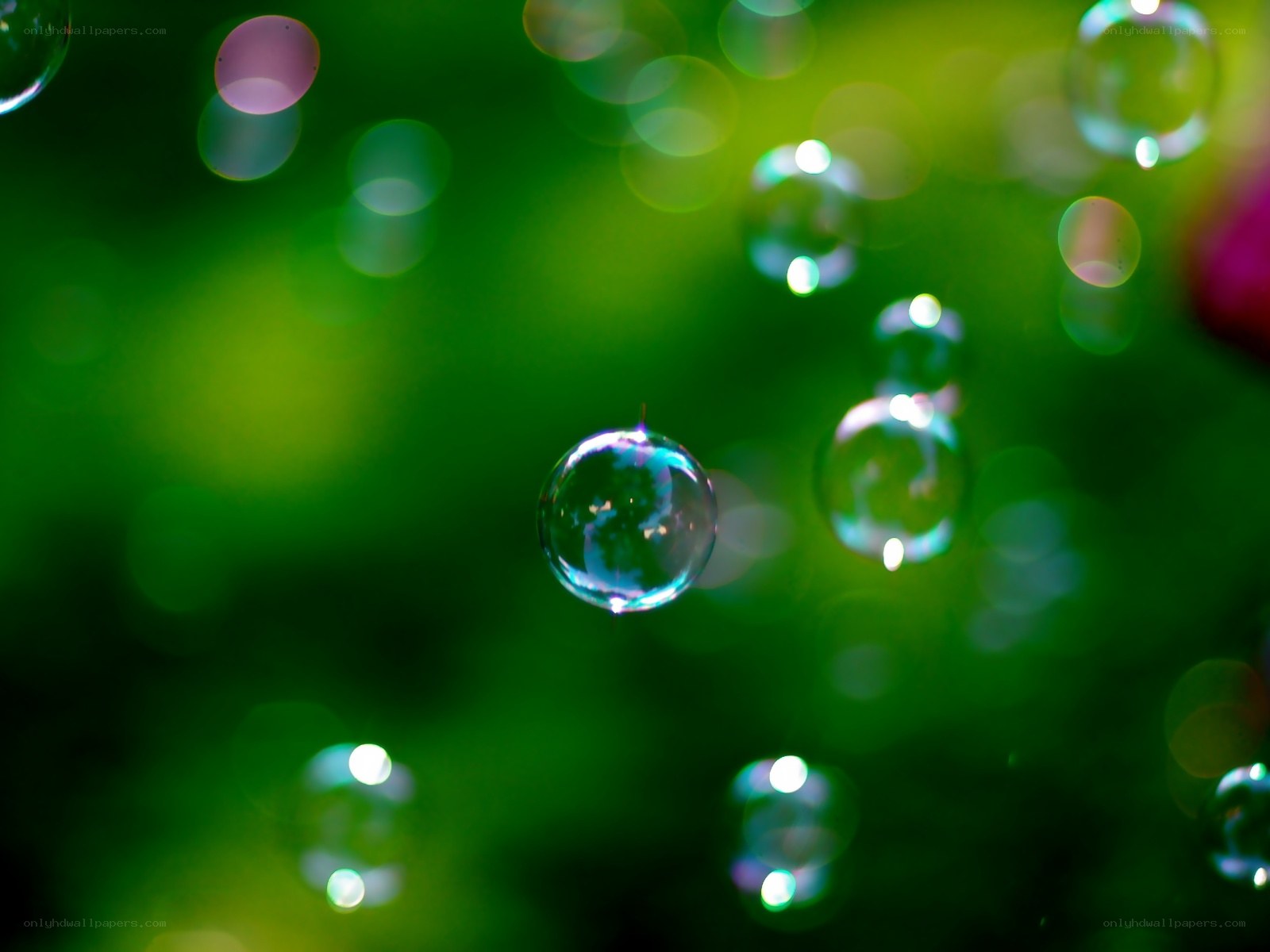 Floating bubbles in green light