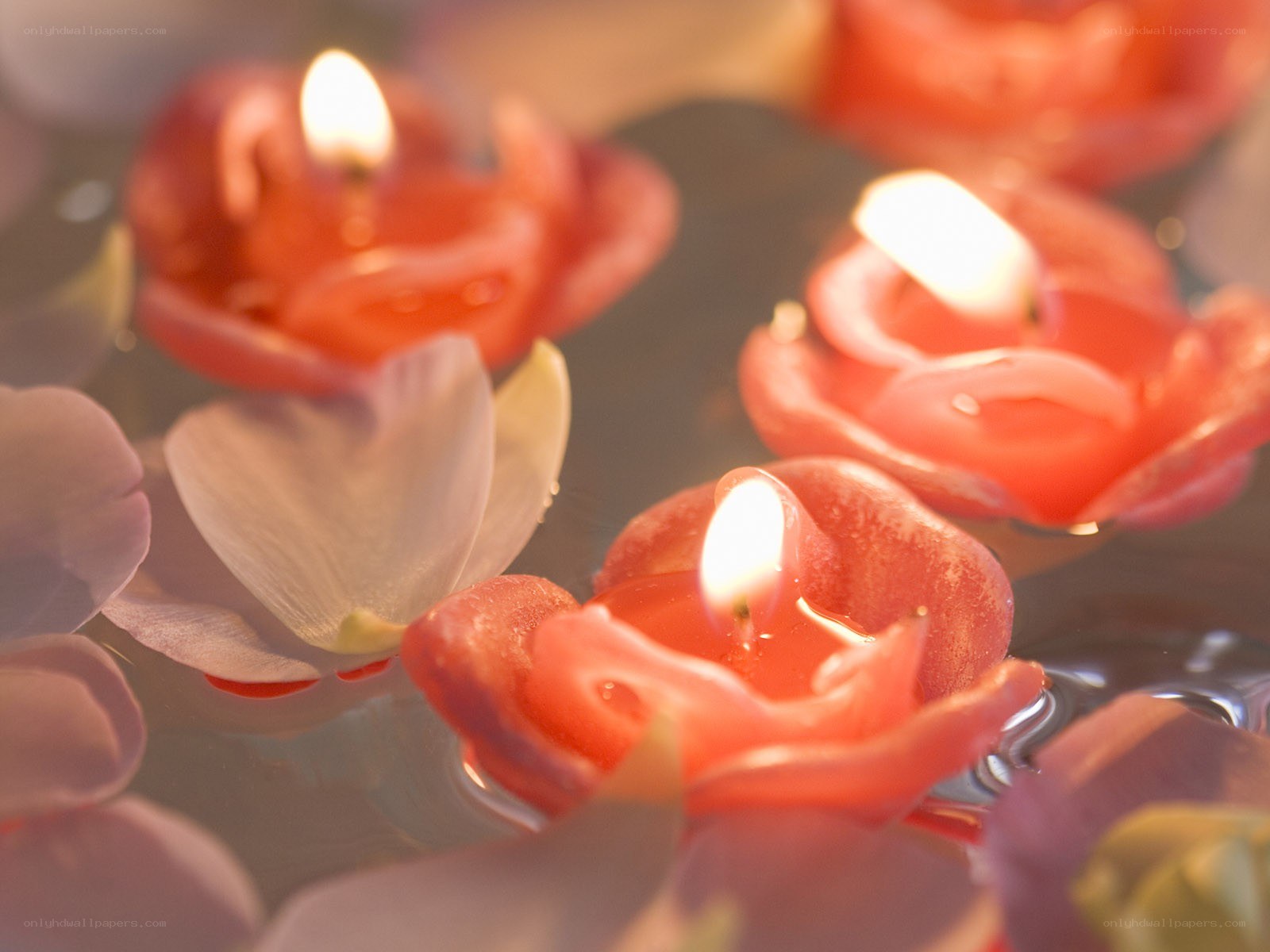 Floating candles and petals