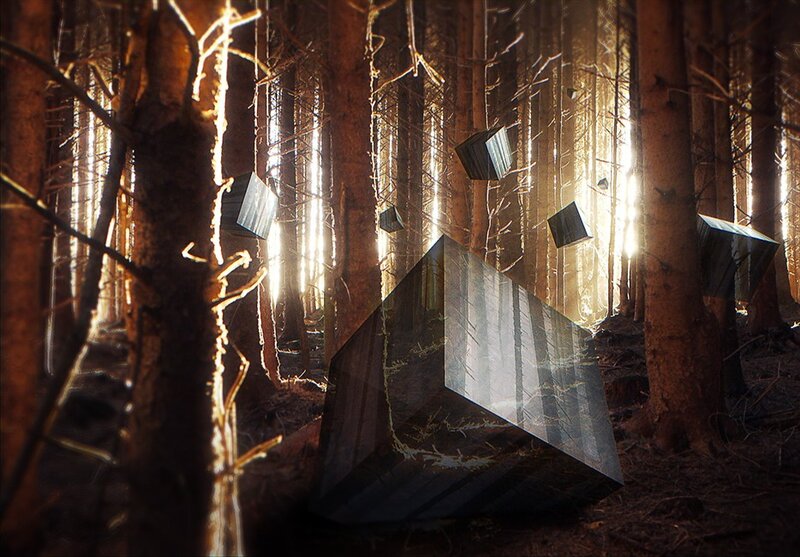 Floating cubes in a forest