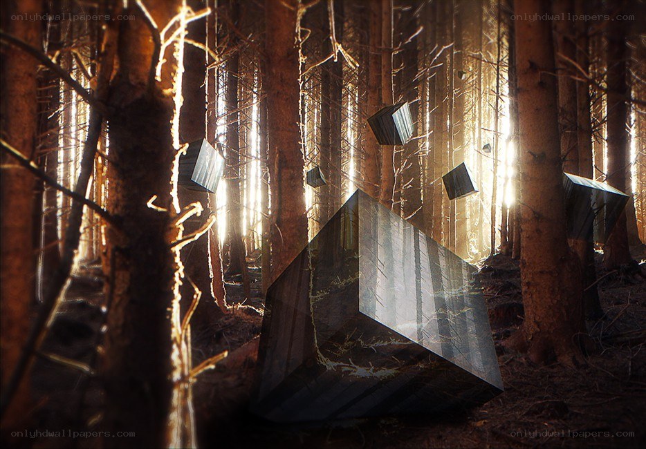 Floating cubes in a forest