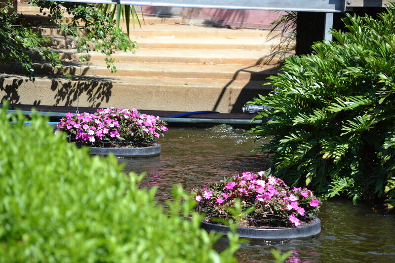 Floating Flower Pots