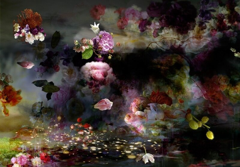Floating Flowers in Water