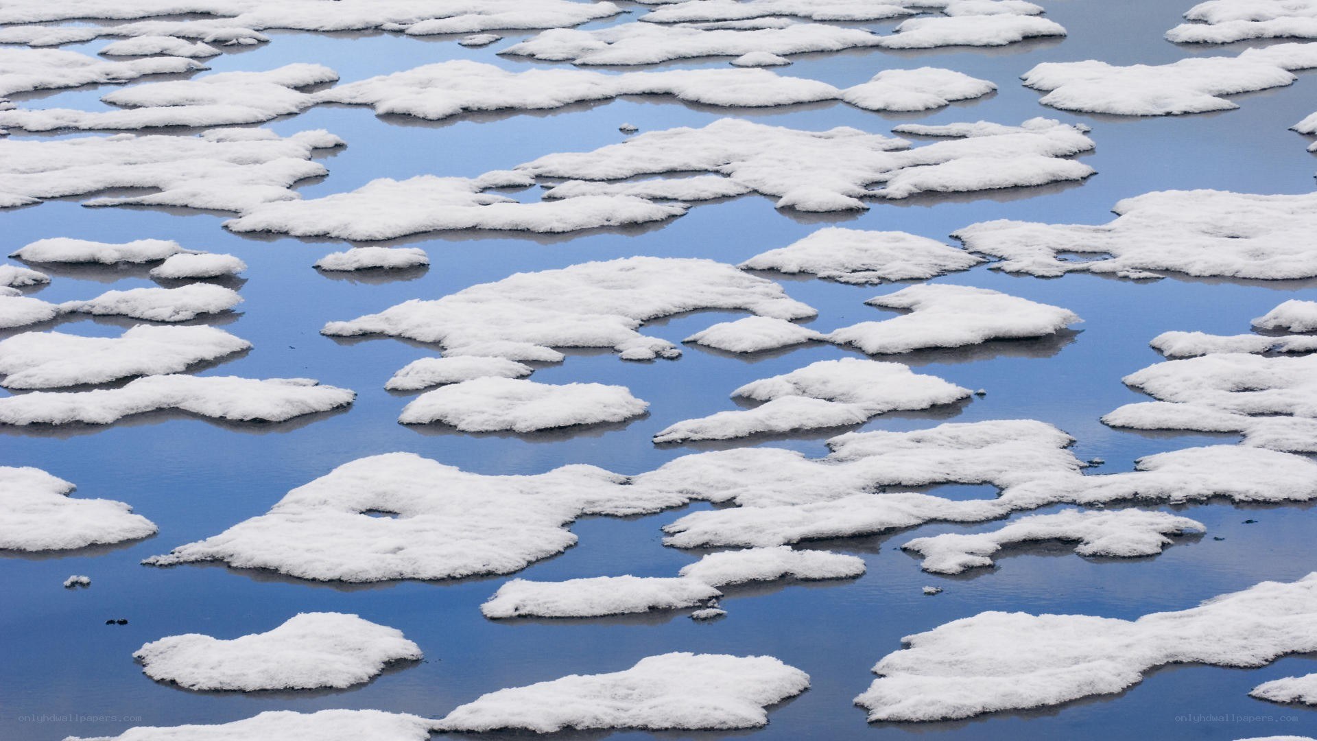 Floating ice on blue water