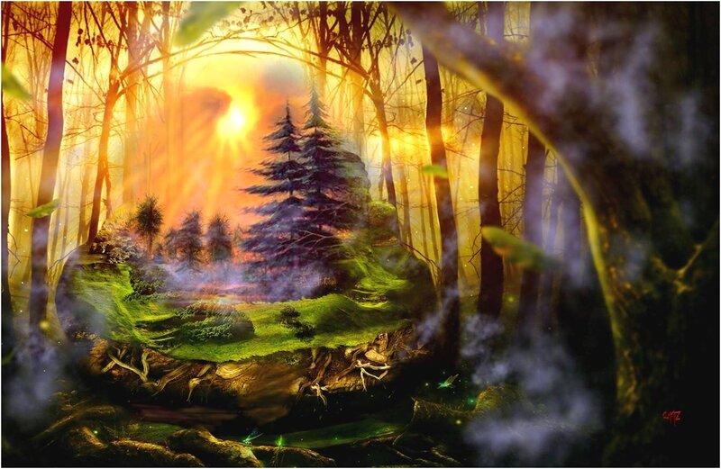 Floating Island in Forest