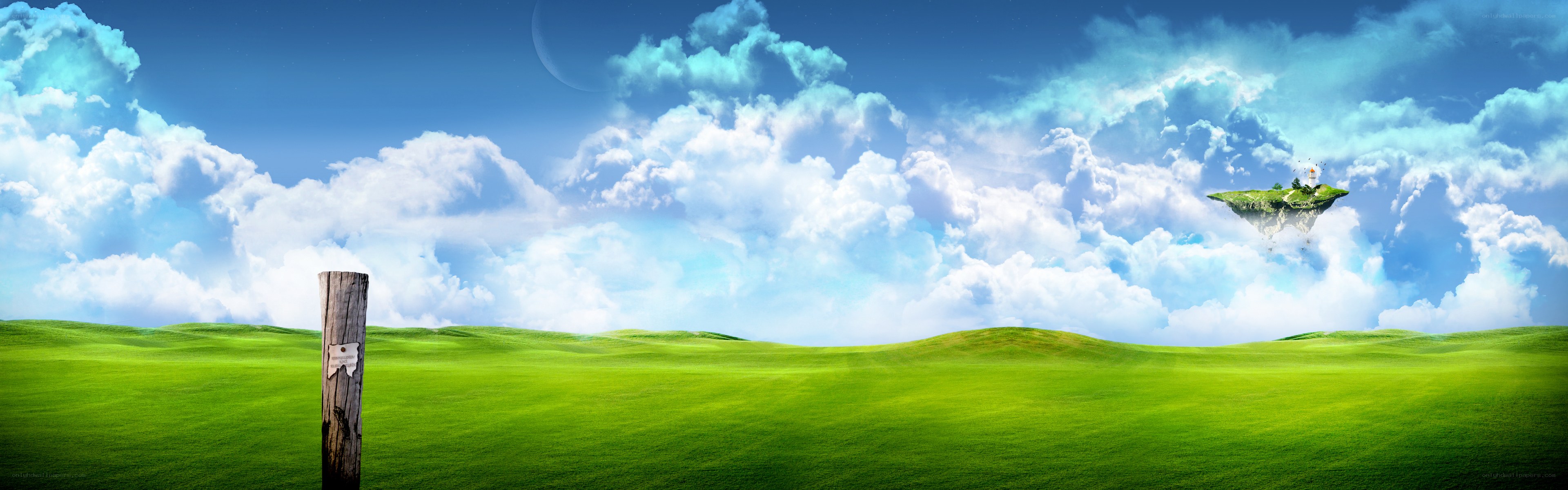 floating island in green field