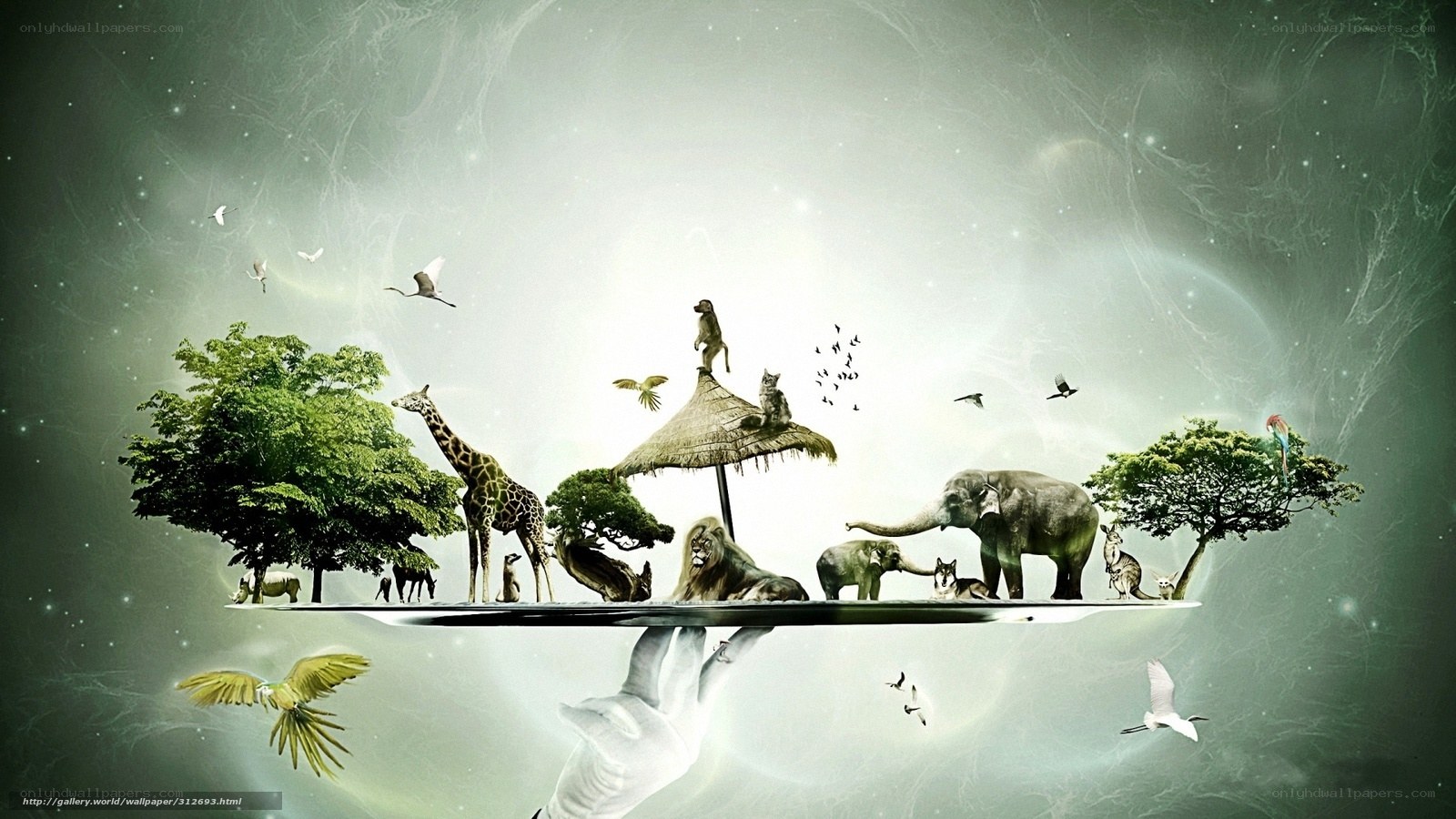 floating island of animals