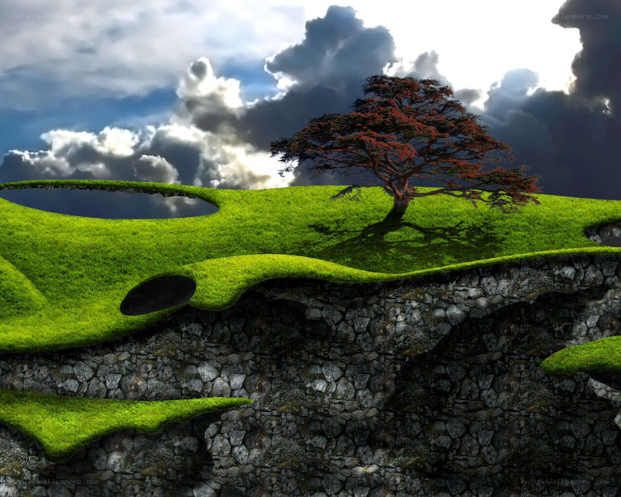 Floating island with lone tree
