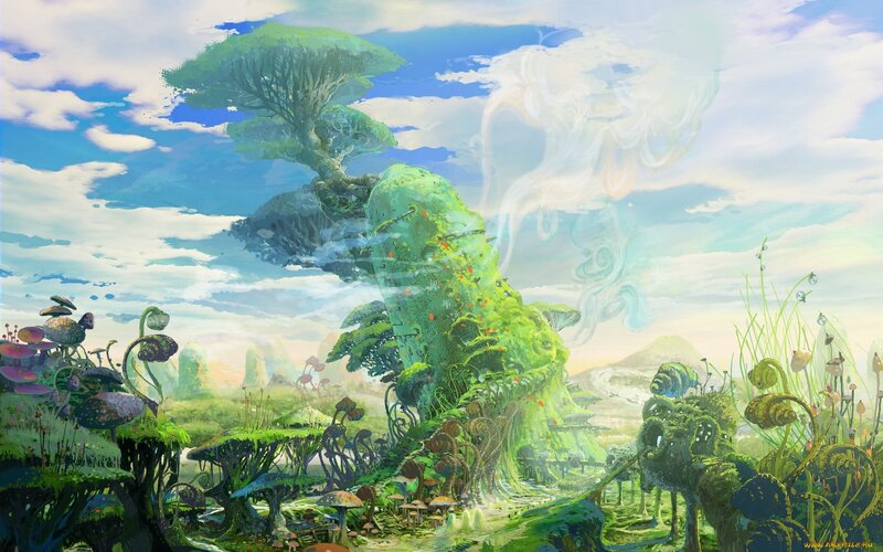 Floating Island with Mushrooms