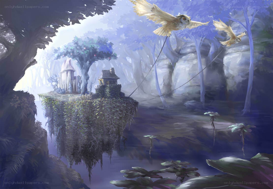 Floating island with owl flight