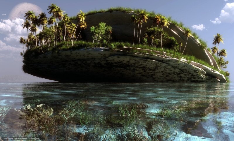 floating island with palm trees