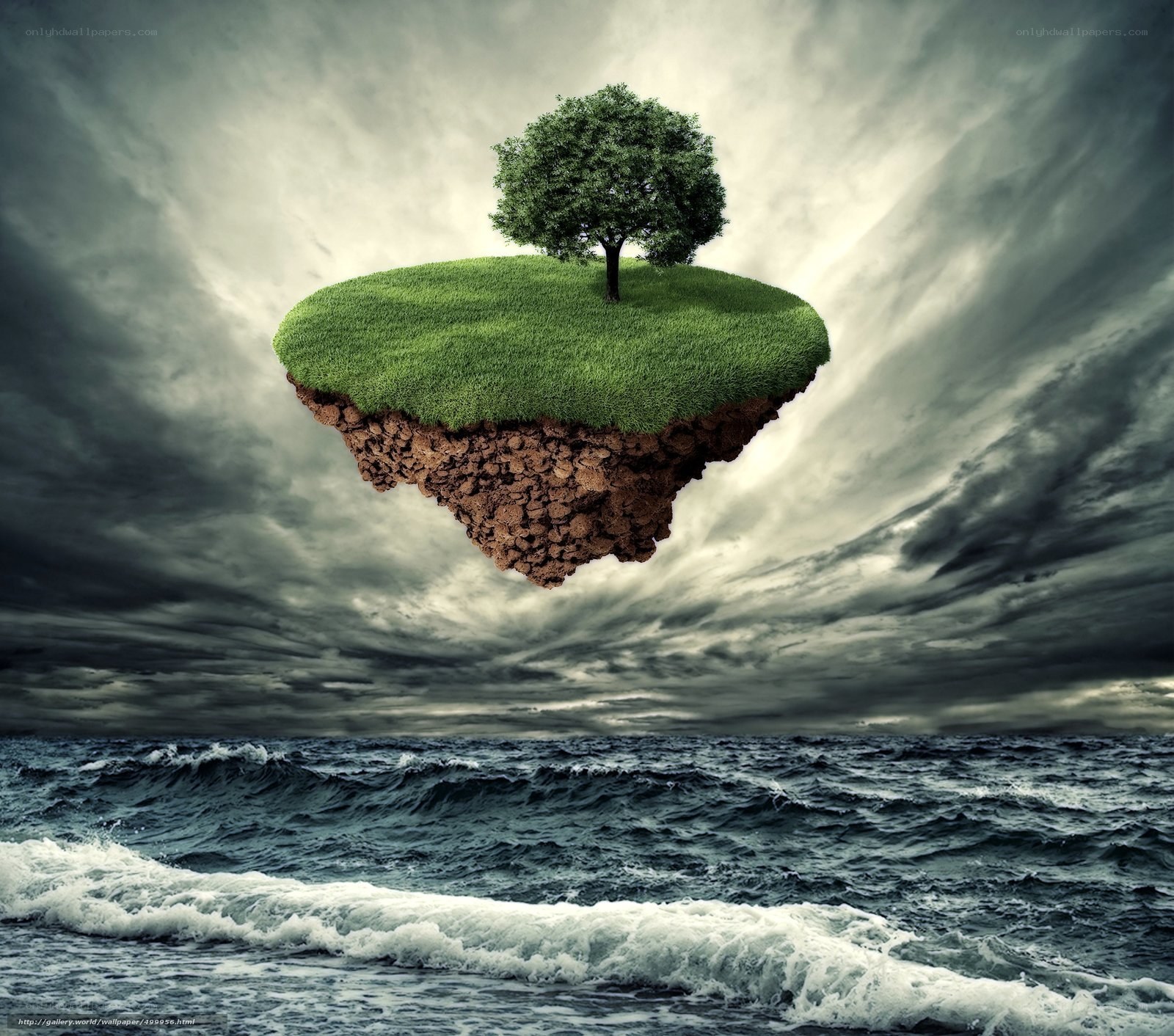floating island with tree