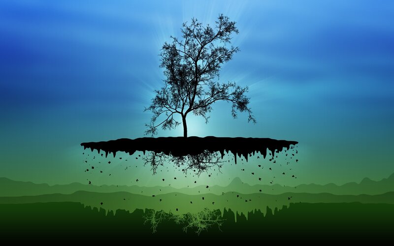 floating island with tree silhouette