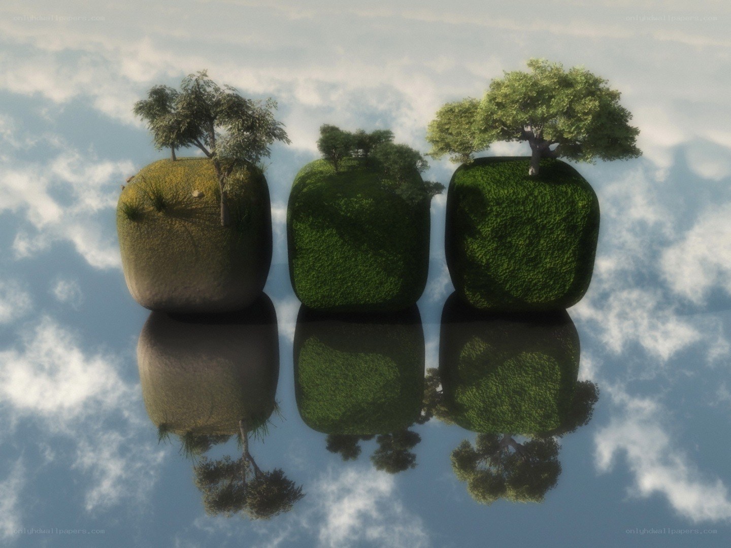 floating islands with trees