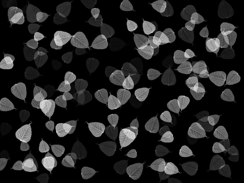 Floating leaf silhouettes