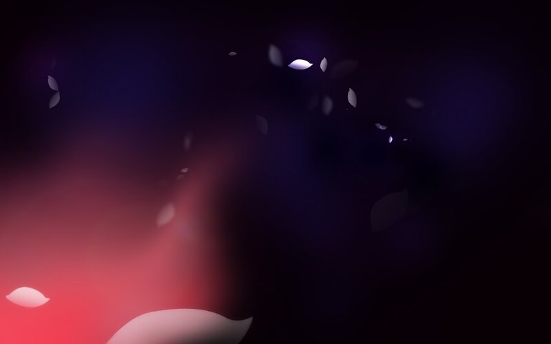 floating petals in dark space