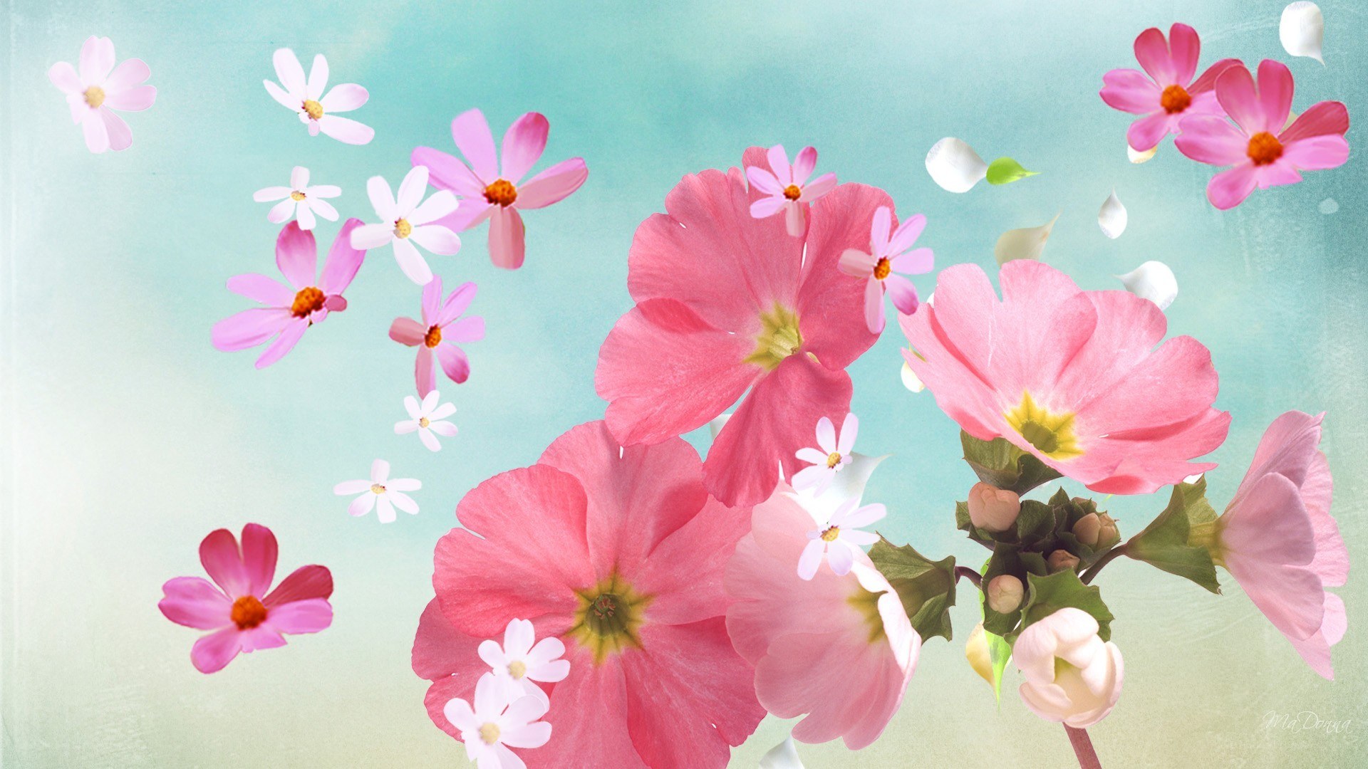 floating pink flowers