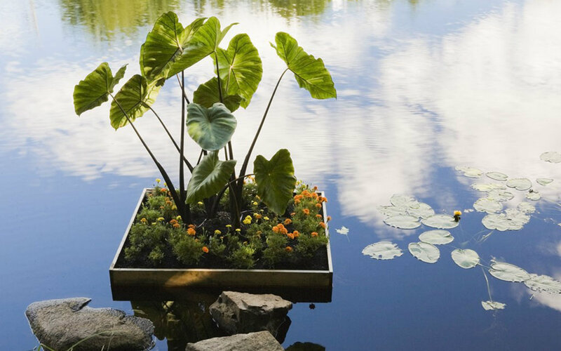 Floating Plant Container