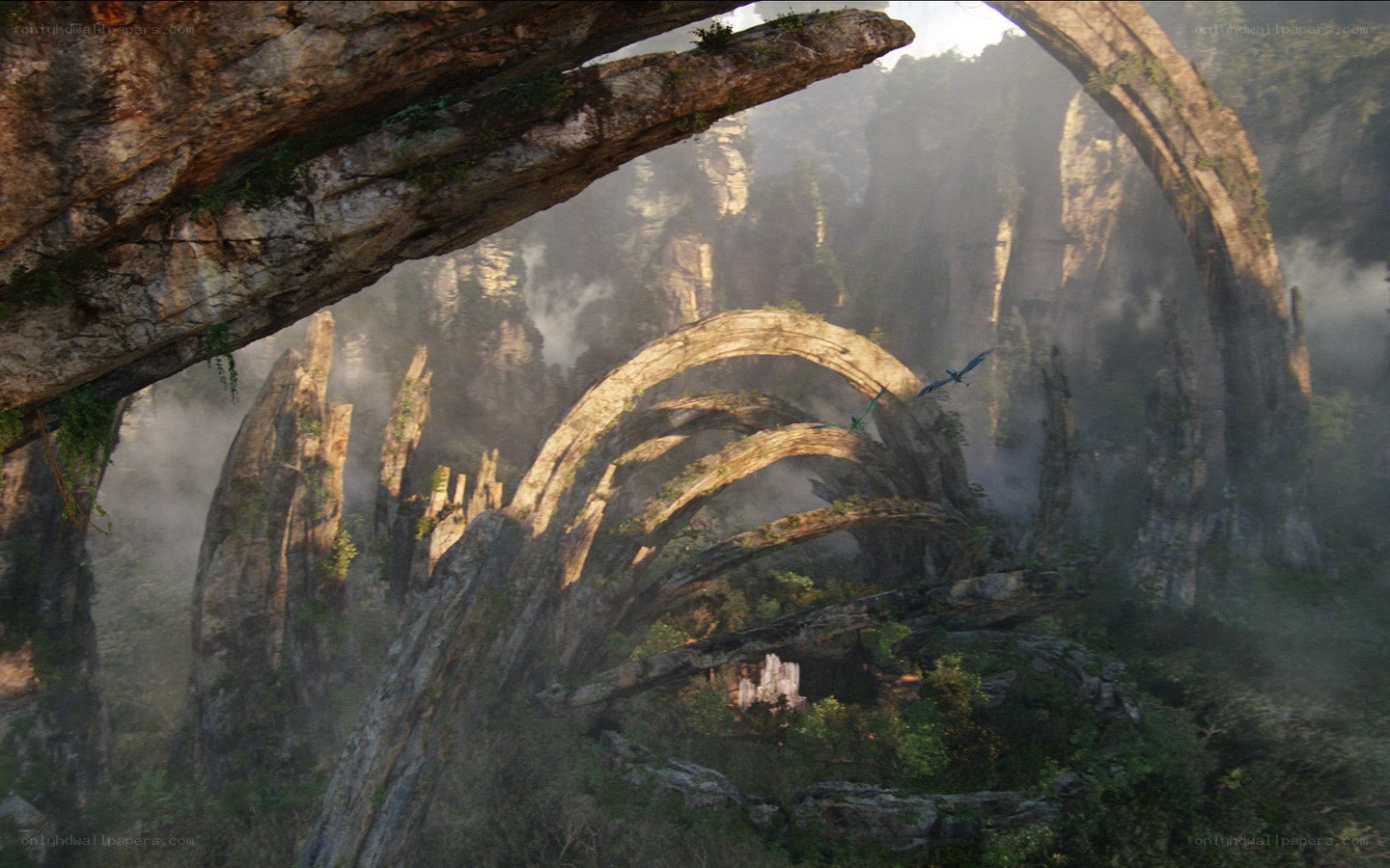 floating rock arches in mist